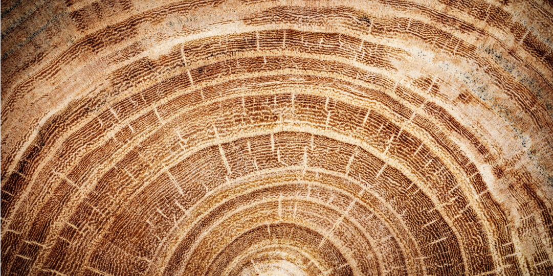 VISCOSA ECOVERO&trade;