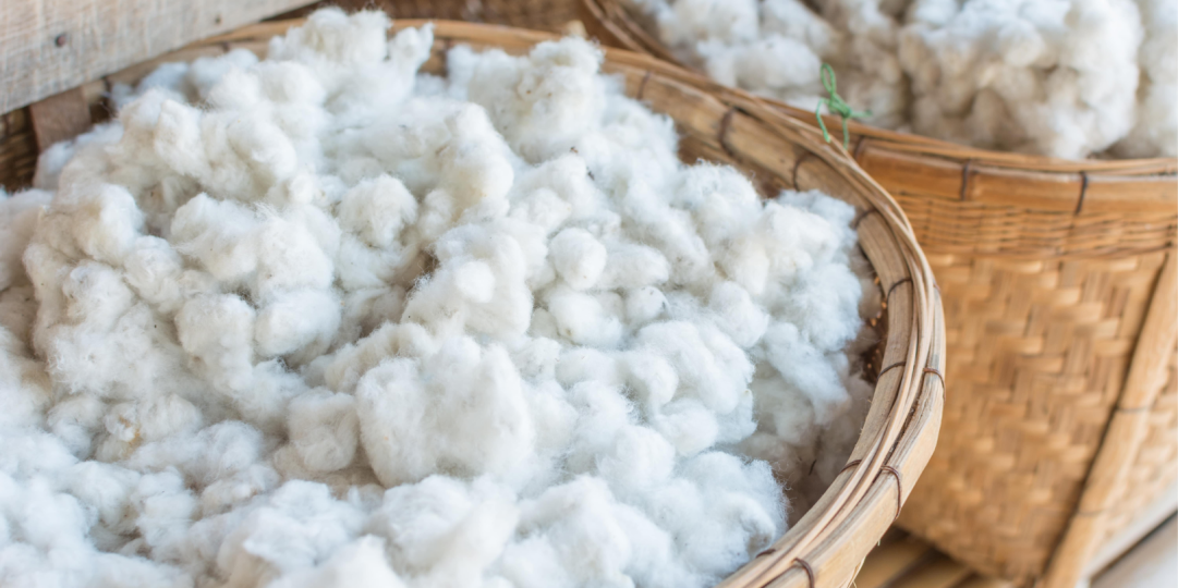 APOYAMOS UN ALGOD&Oacute;N M&Aacute;S SOSTENIBLE