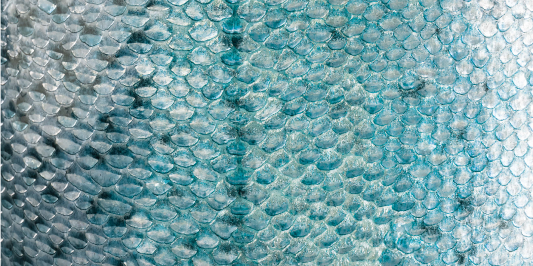 HILO DE COL&Aacute;GENO UMORFIL&reg; N6U&reg;