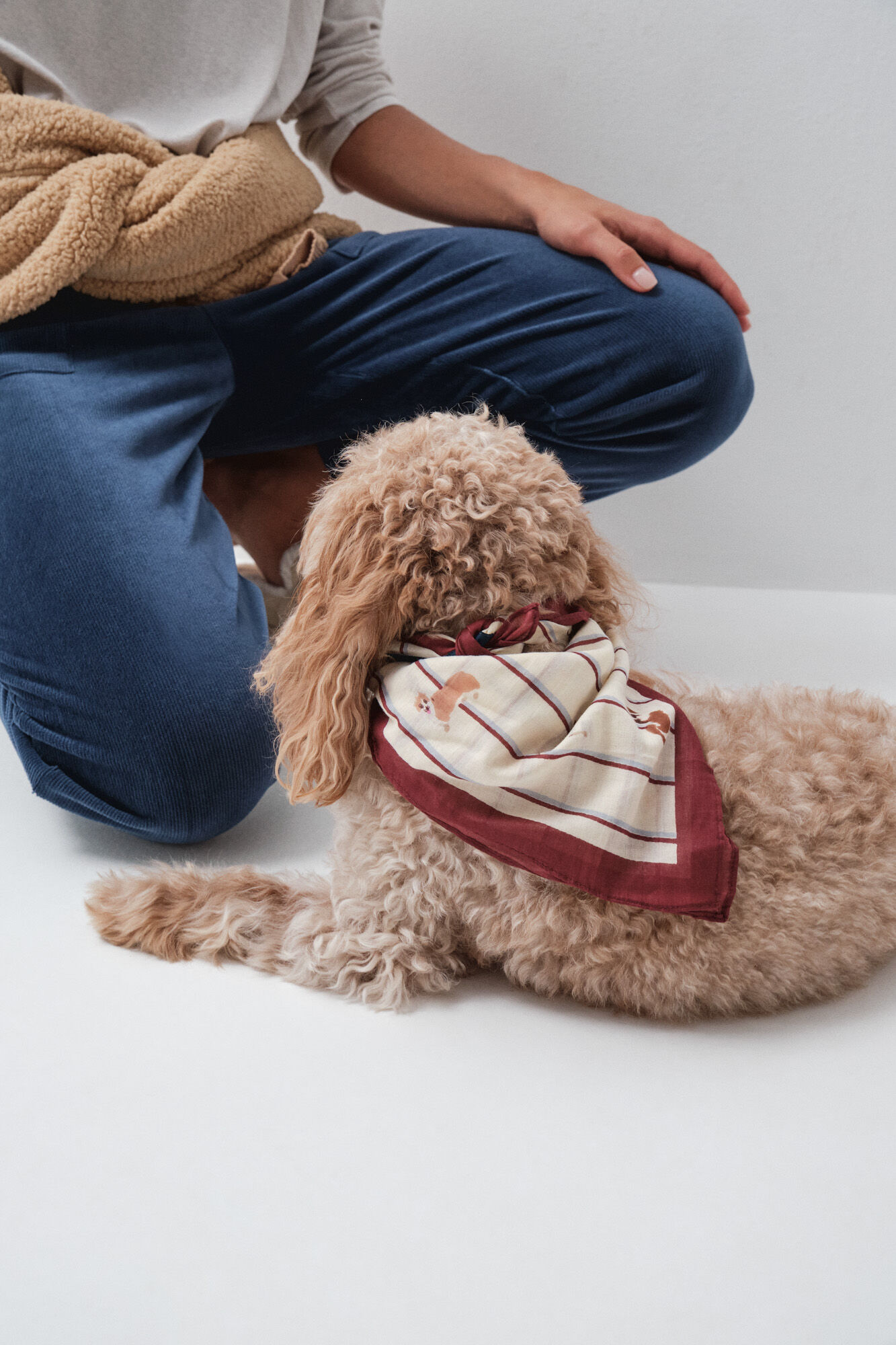 Women'secret Len&ccedil;o bandana para c&atilde;es